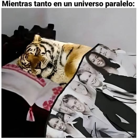 Tiger blanket
